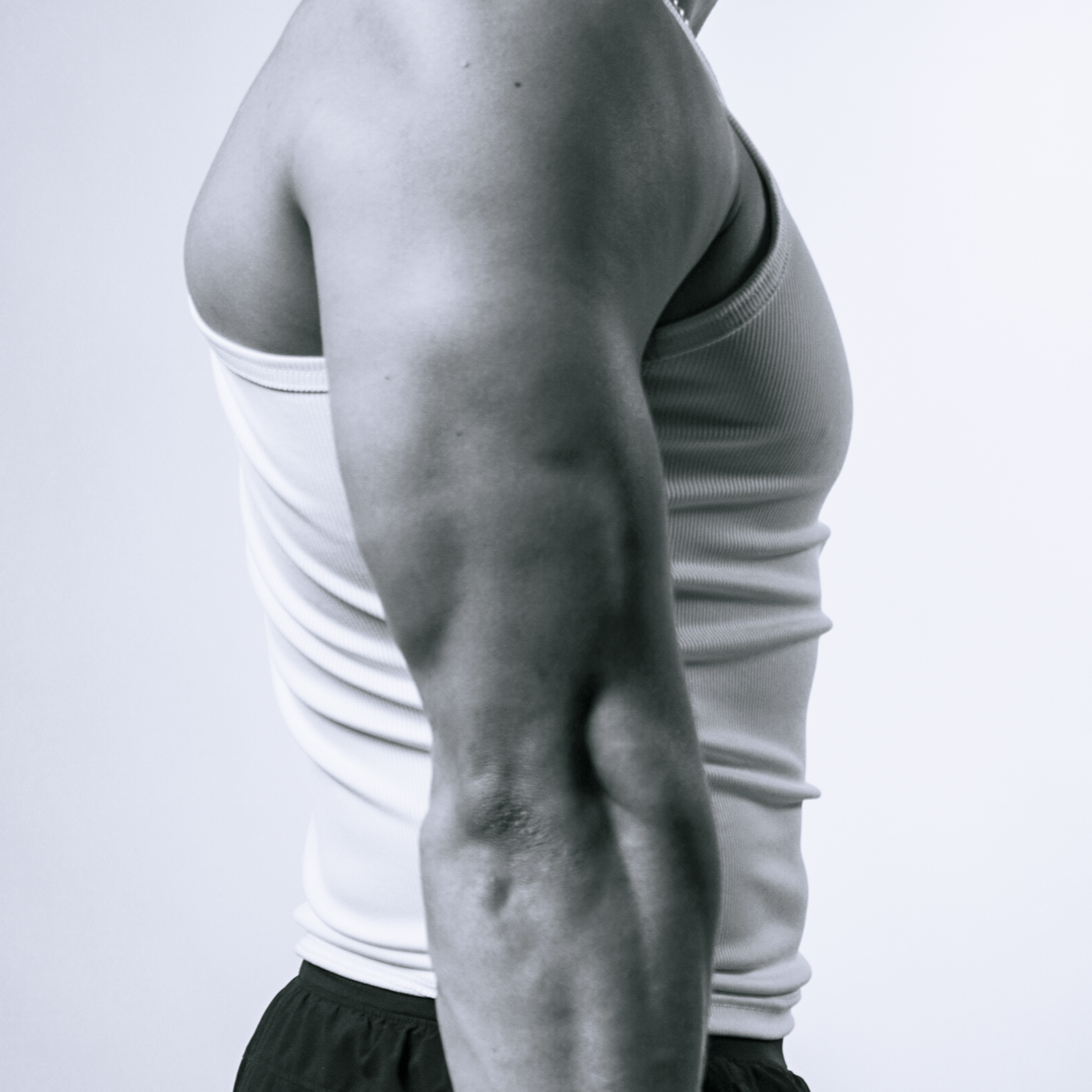 DISCIPLINE Base Layer