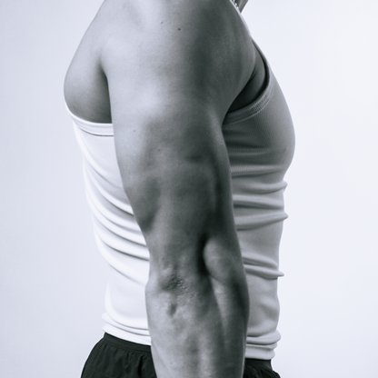 DISCIPLINE Base Layer